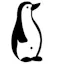 penguen.io