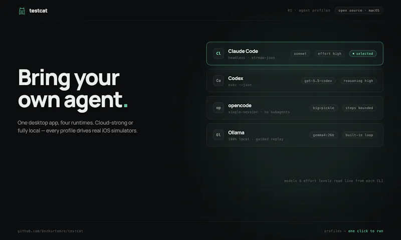 testcat screenshot 2