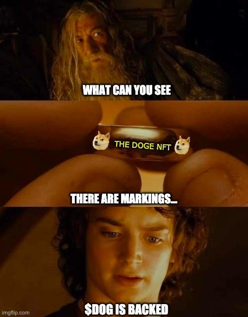 The Doge NFT gallery image