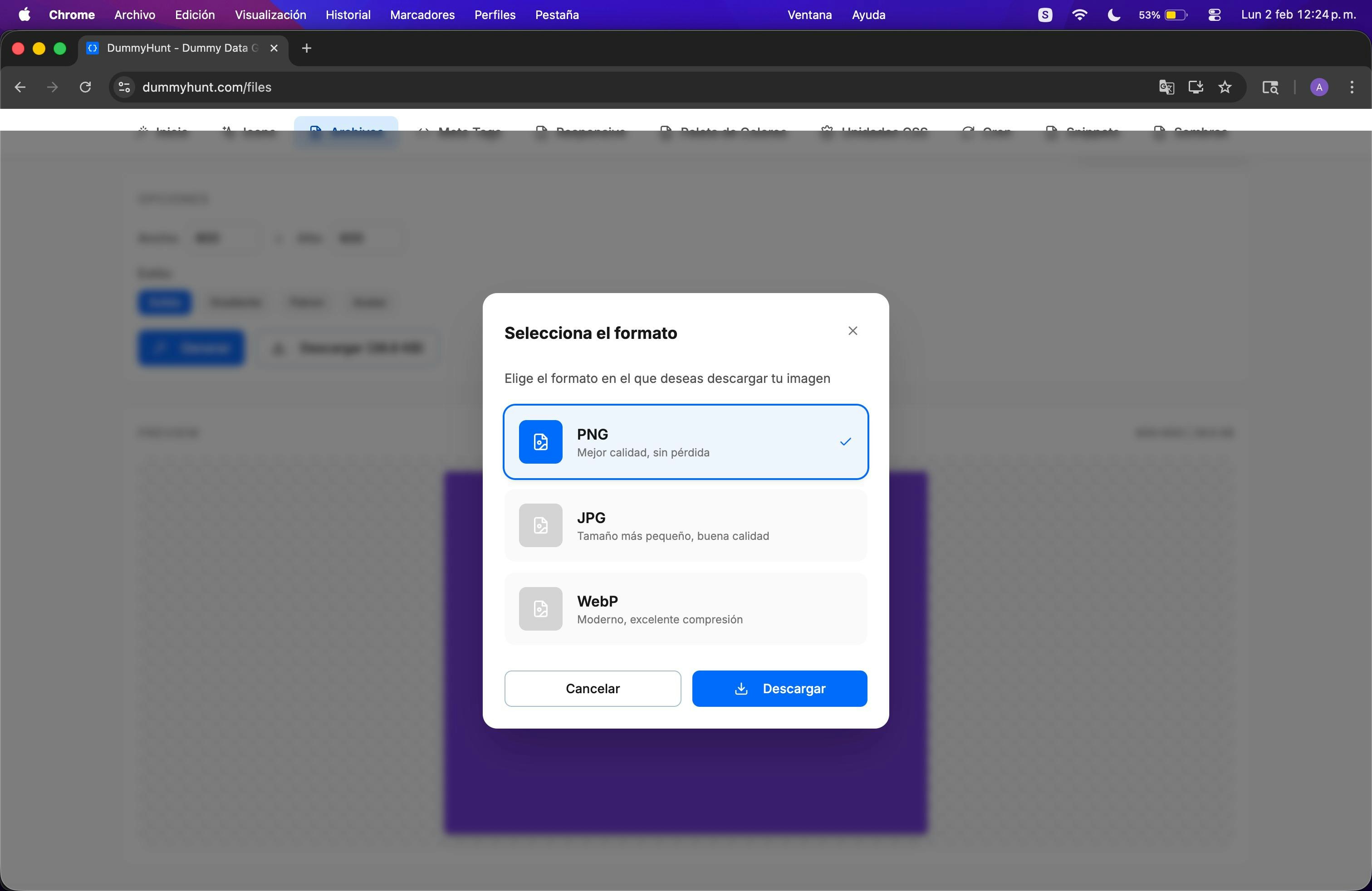DummyHunt gallery image
