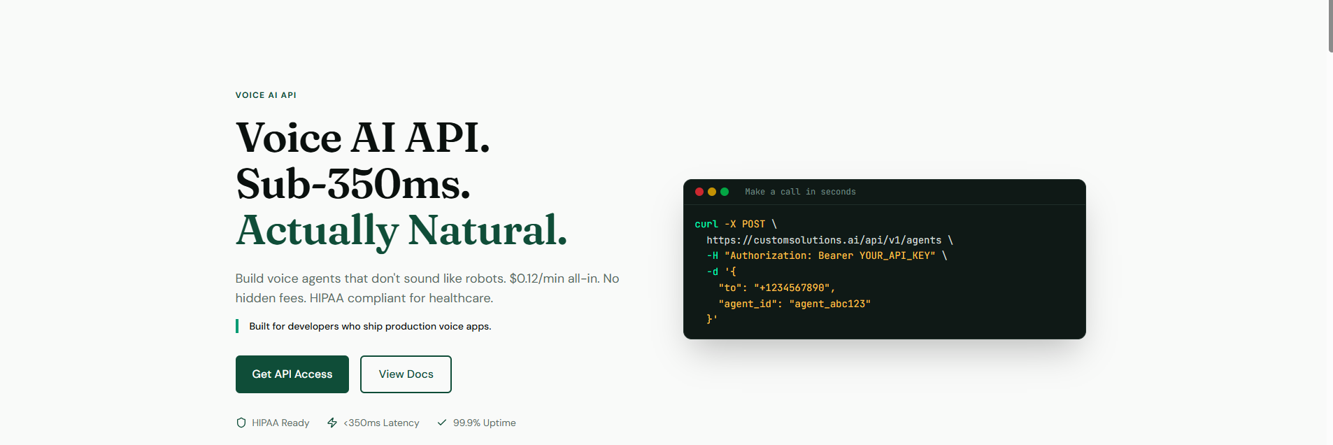 Custom Solutions Voice AI gallery image