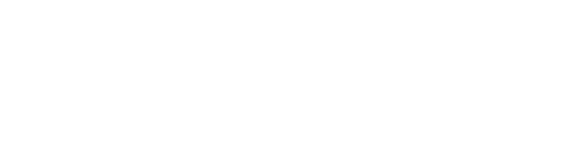 Data Bridges logo