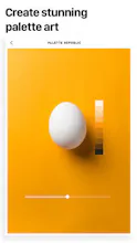 Palette Republic gallery image