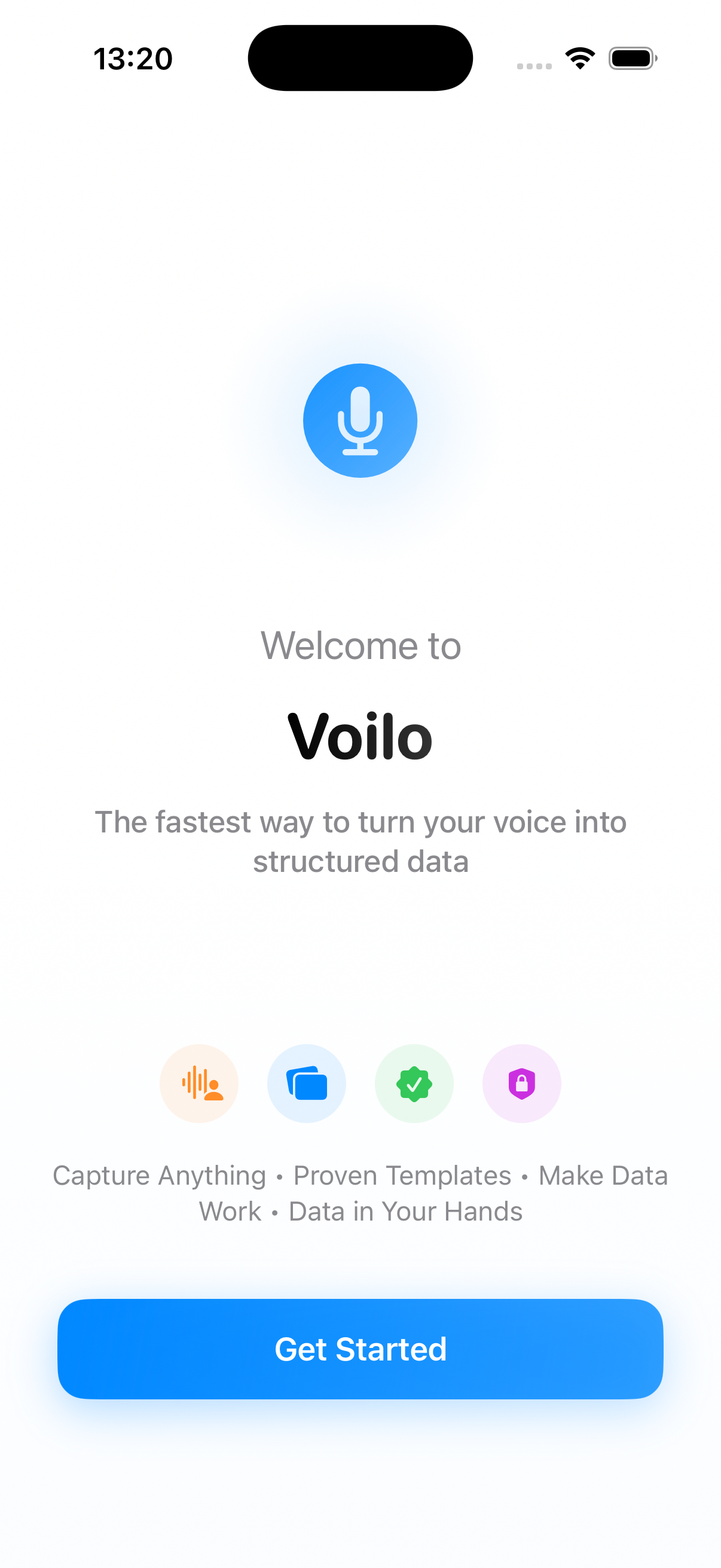 Voilo gallery image