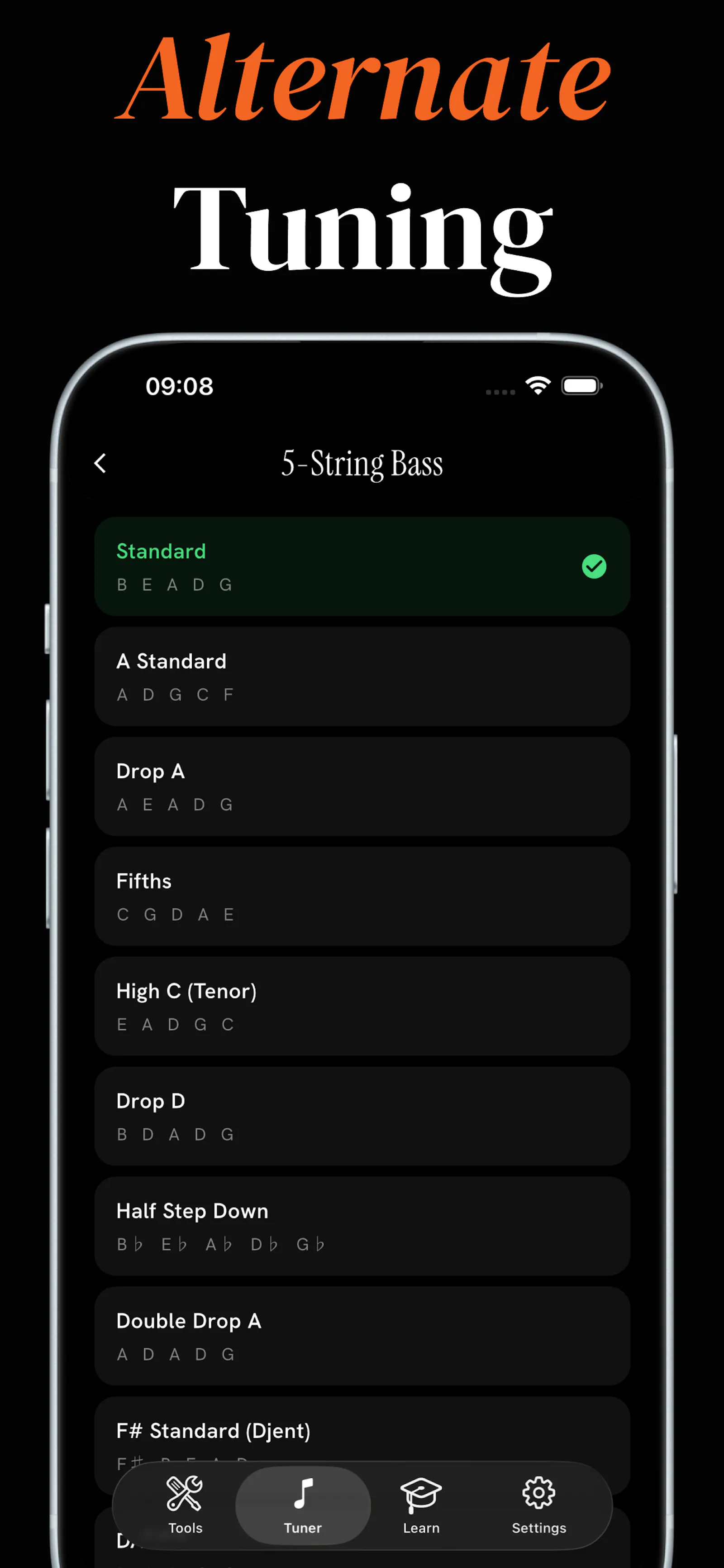 Bass Tuner Launch screenshot 3