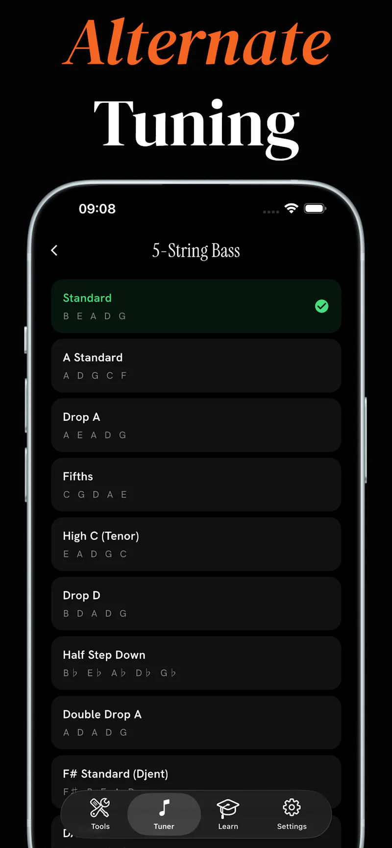 Bass Tuner Launch screenshot 3