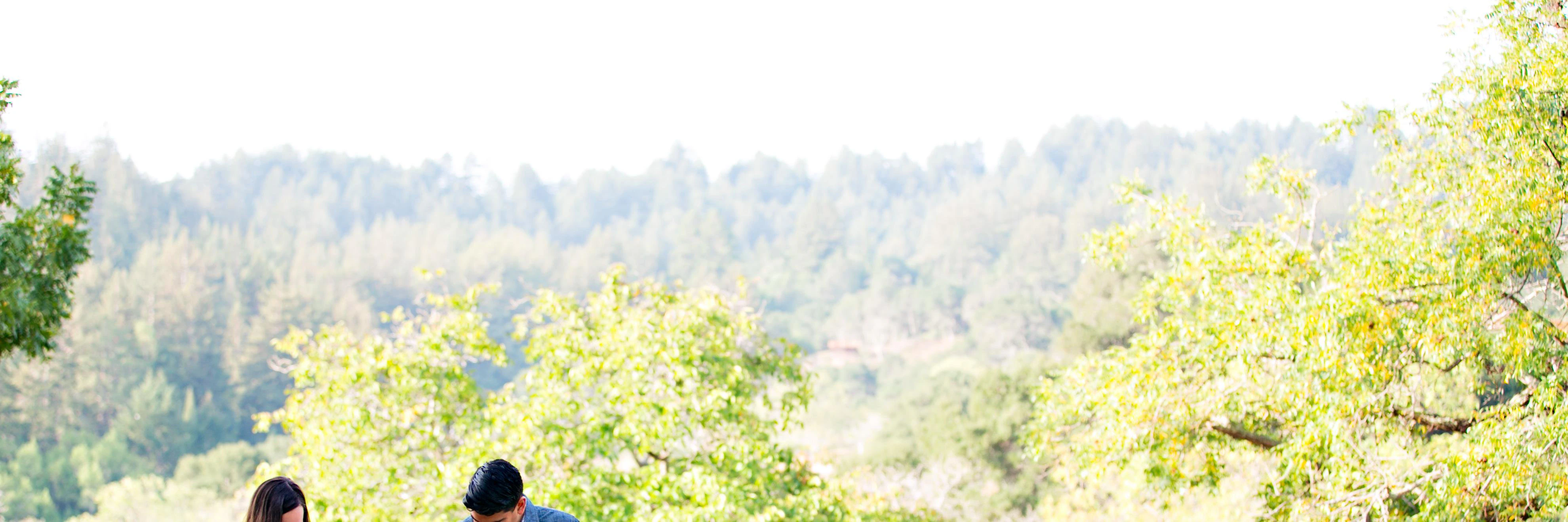 Albee Dalbotten cover