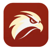 Ranks Hawk