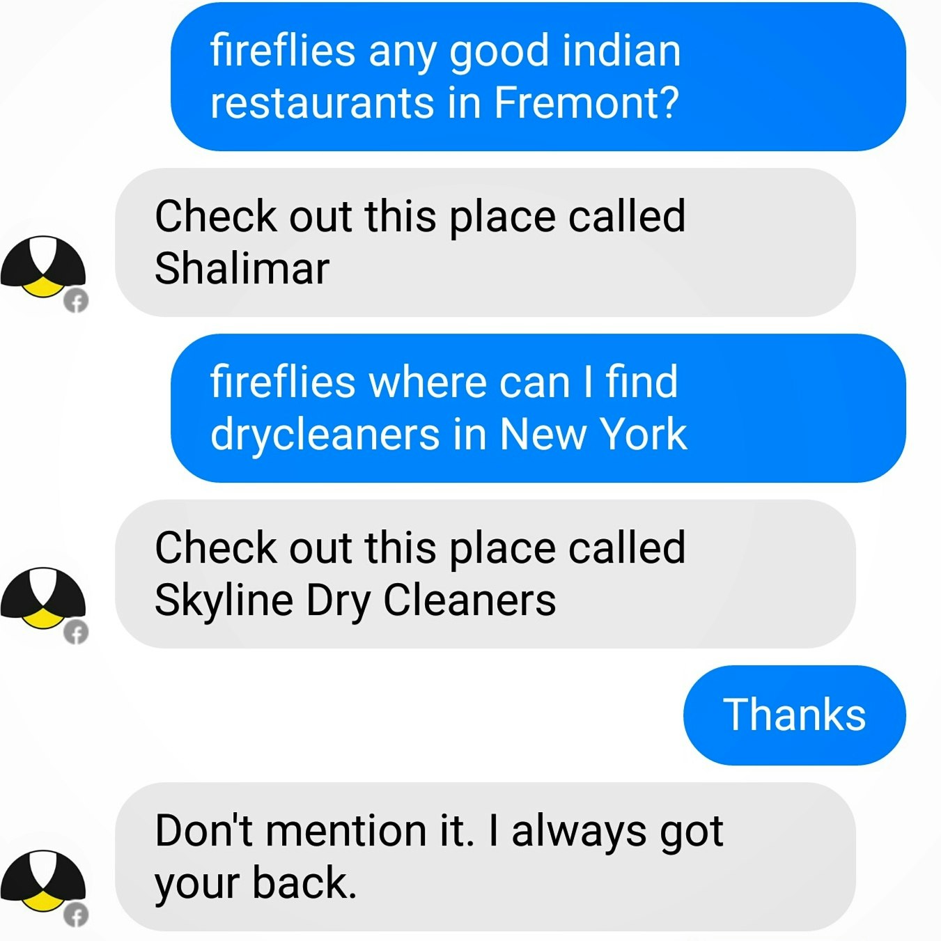 Beta Facebook Chat Bot gallery image