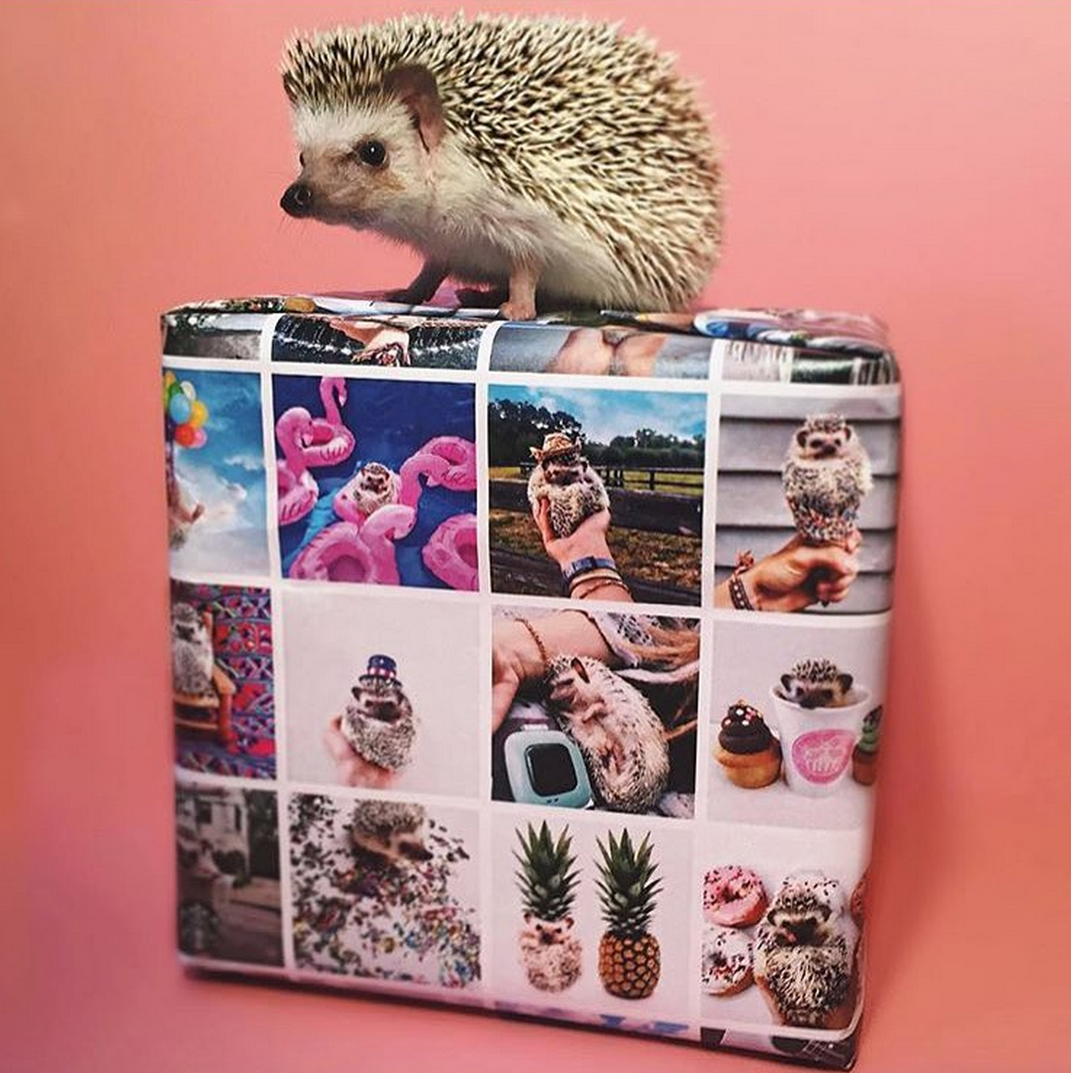 wrap.me gallery image