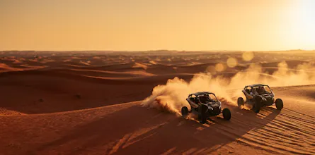 Tiger Buggy gallery image