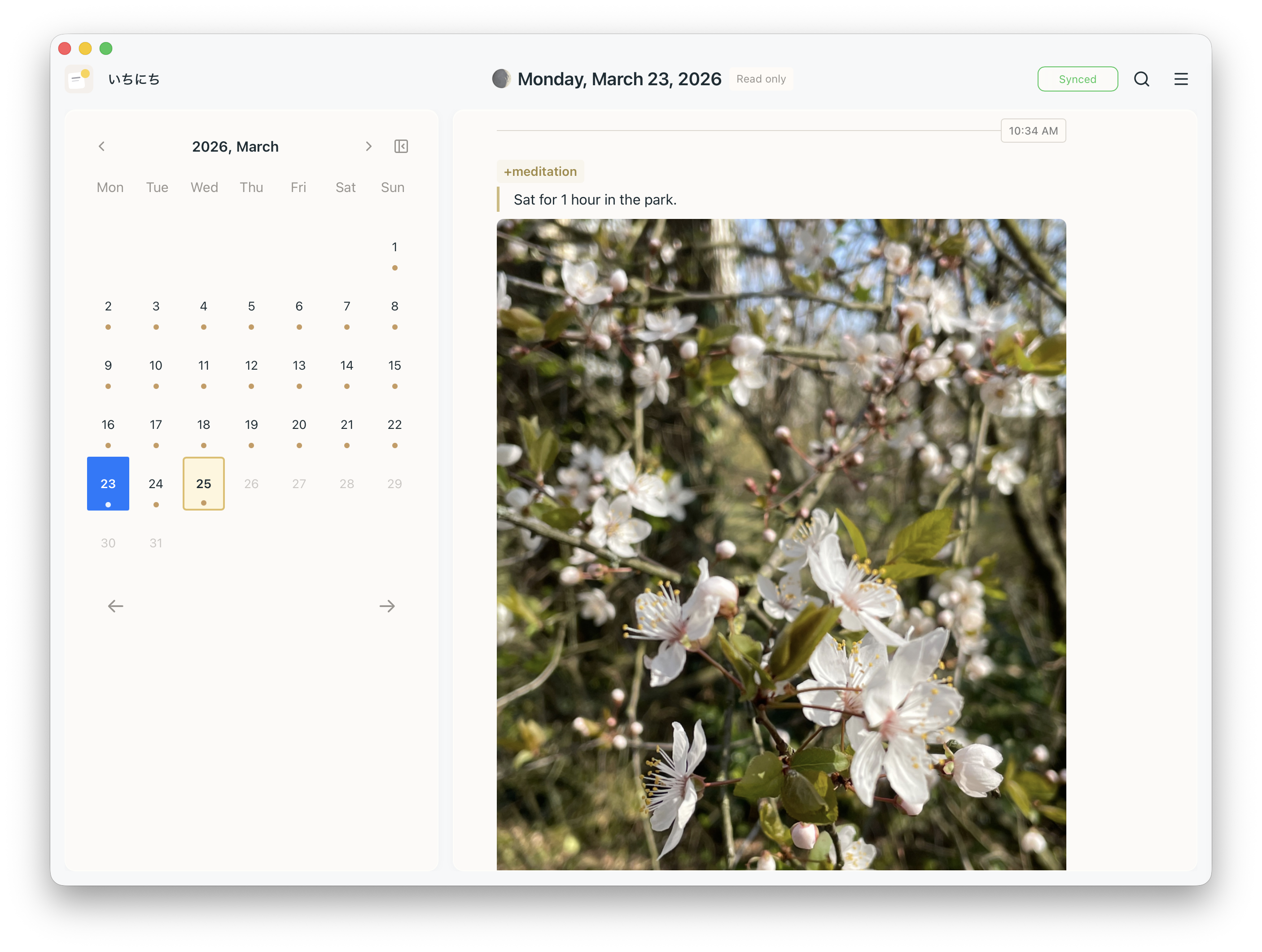 Ichinichi gallery image