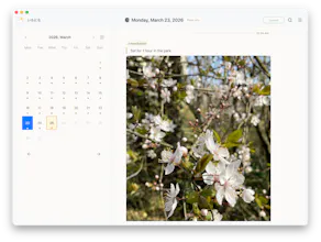 Ichinichi gallery image