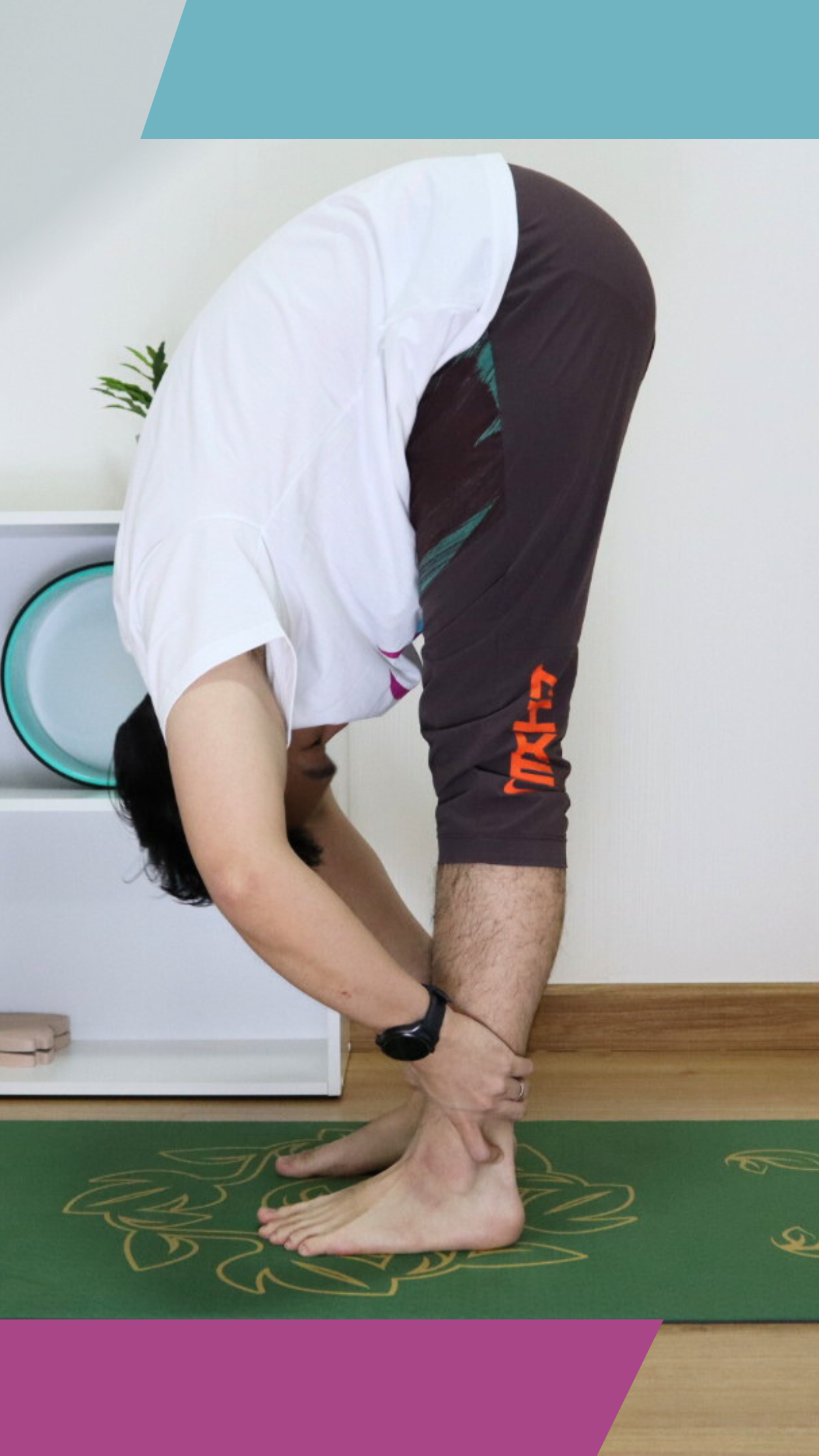 Turttee Medien 6
