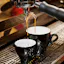 The Barista's Guide to the Galaxy