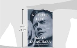 A Little Life: A Novel media 3