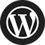 WordPress Studio CLI