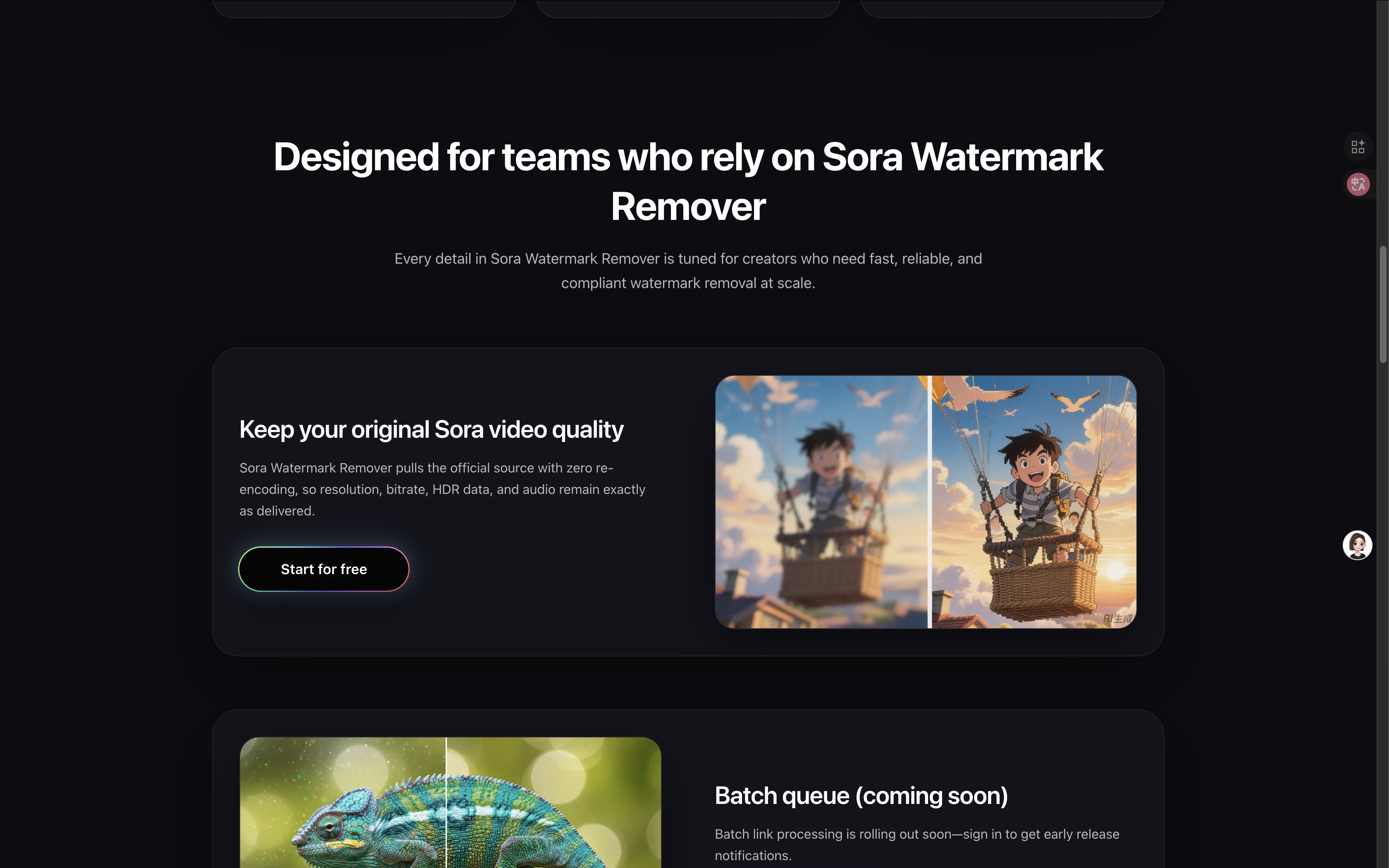 Sora Watermark Remover gallery image