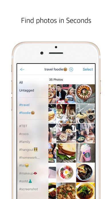 Taggle gallery image