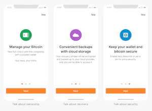 The Bitcoin Design Guide gallery image
