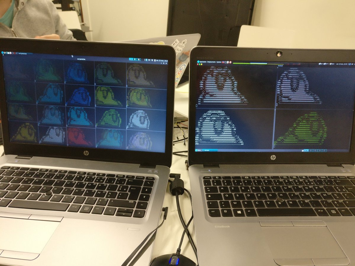 parrot.live Image