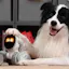 Loona - The most Intelligent Petbot