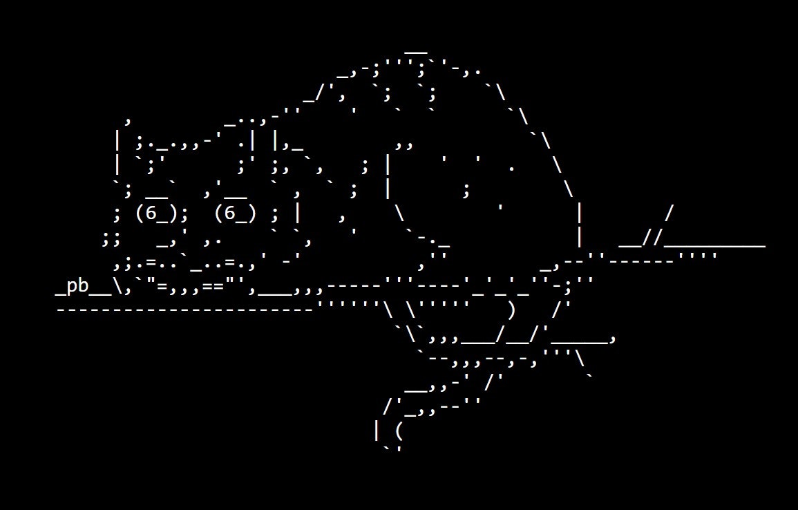 ASCII Cats Artwork created using keyboard symbols and characters