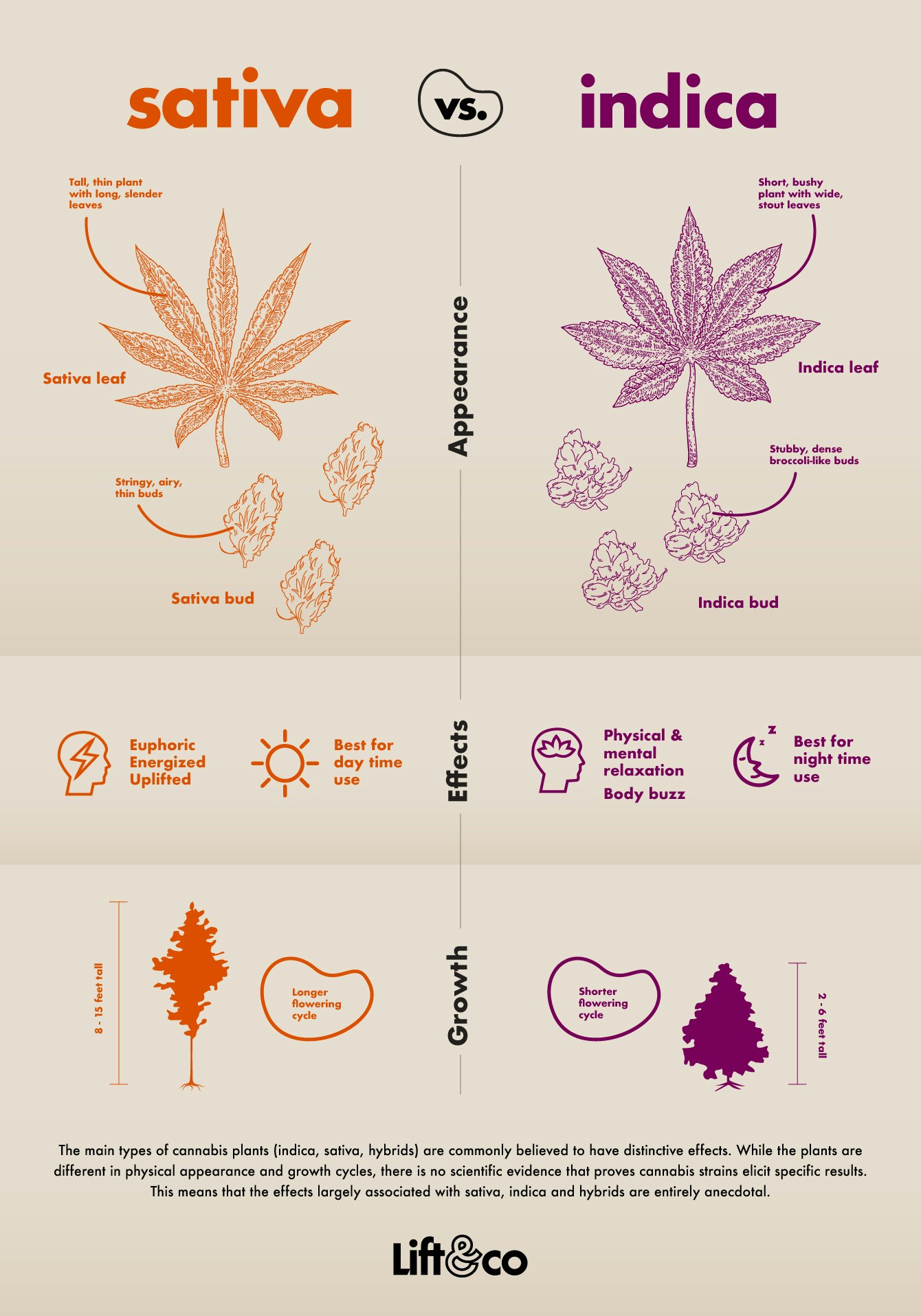 MailLift gallery image