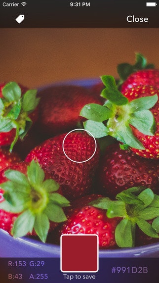 World of Color gallery image