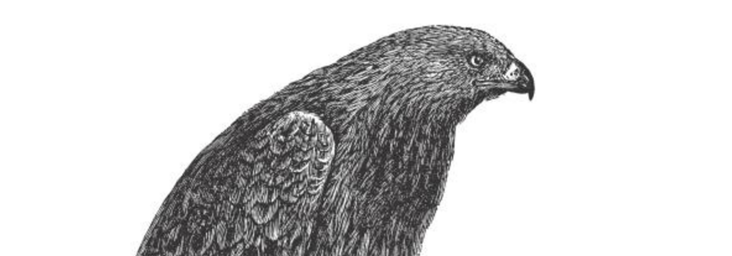 Data Analysis with Open Source Tools gallery image