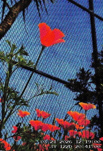 PXLCAM: Climate Clock Camera screenshot 4