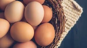 Today Egg Rate India gallery image