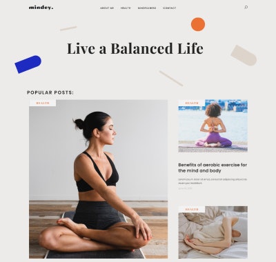 Ask Jnani - Main product screenshot demonstrating key features and user interface