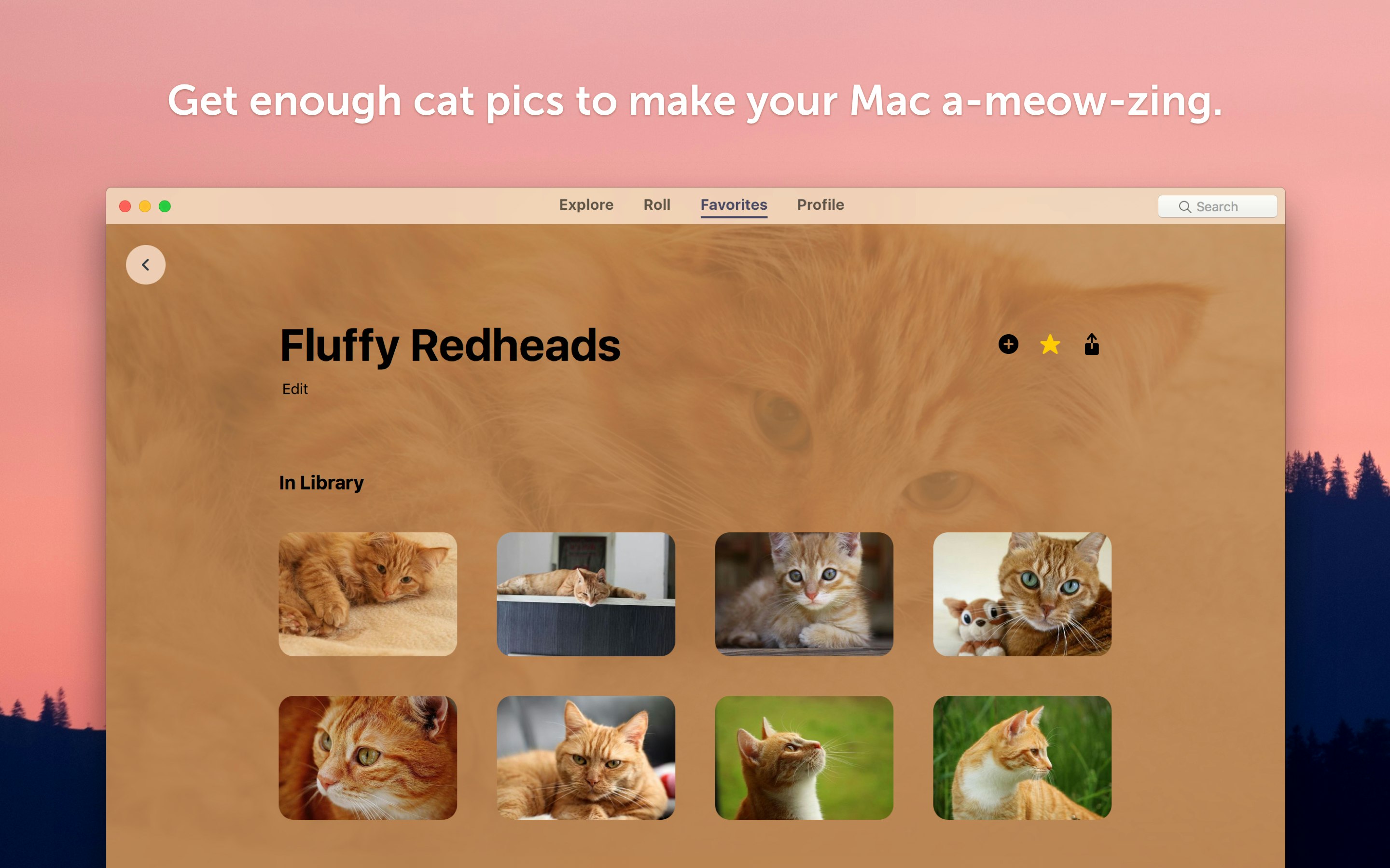 Wallpaper Wizard 2 gallery image