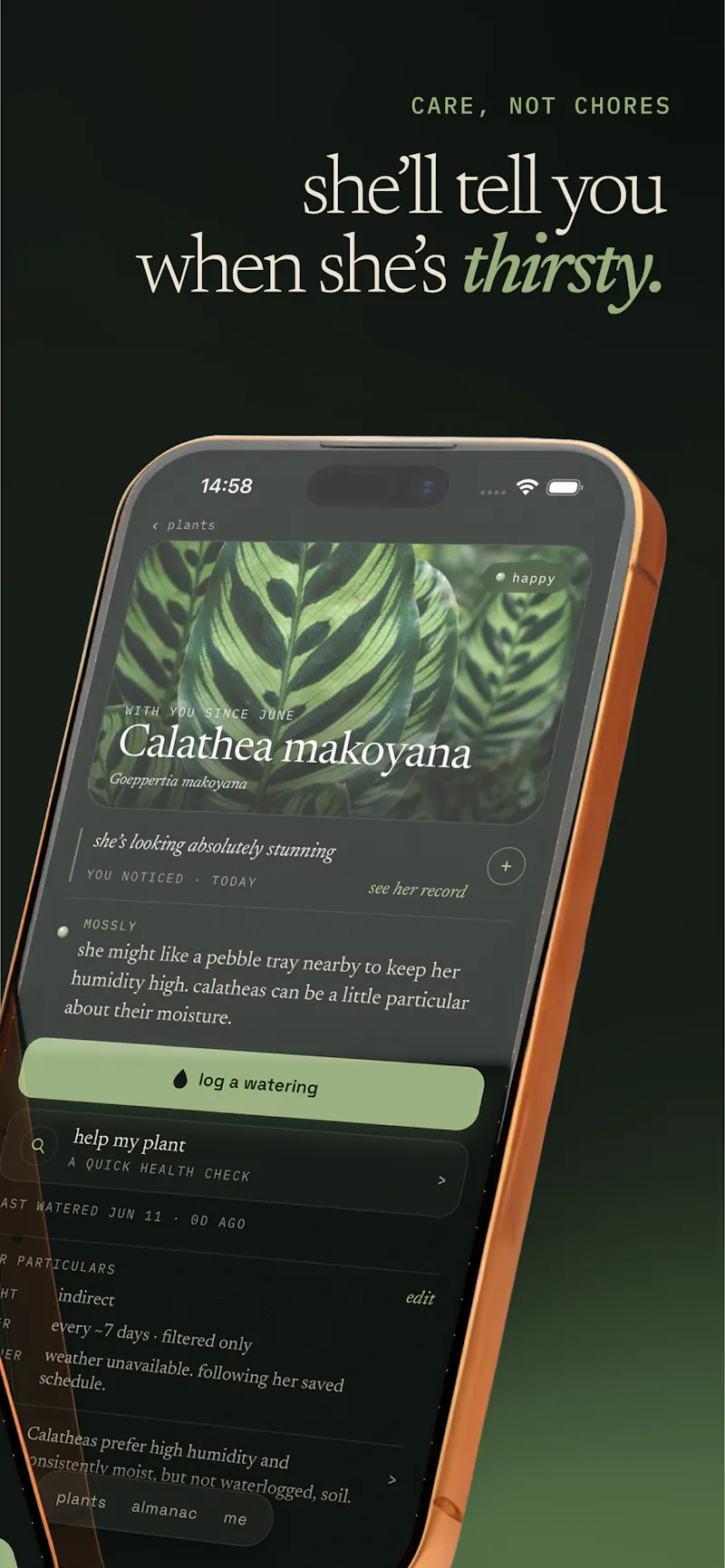 Mossly screenshot 3
