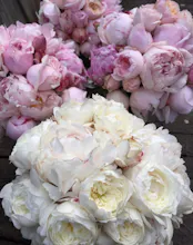 Wedding Flowers Melbourne gallery image