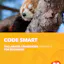 Code Smart