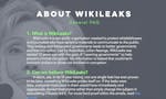 The Most Damaging Wikileaks image
