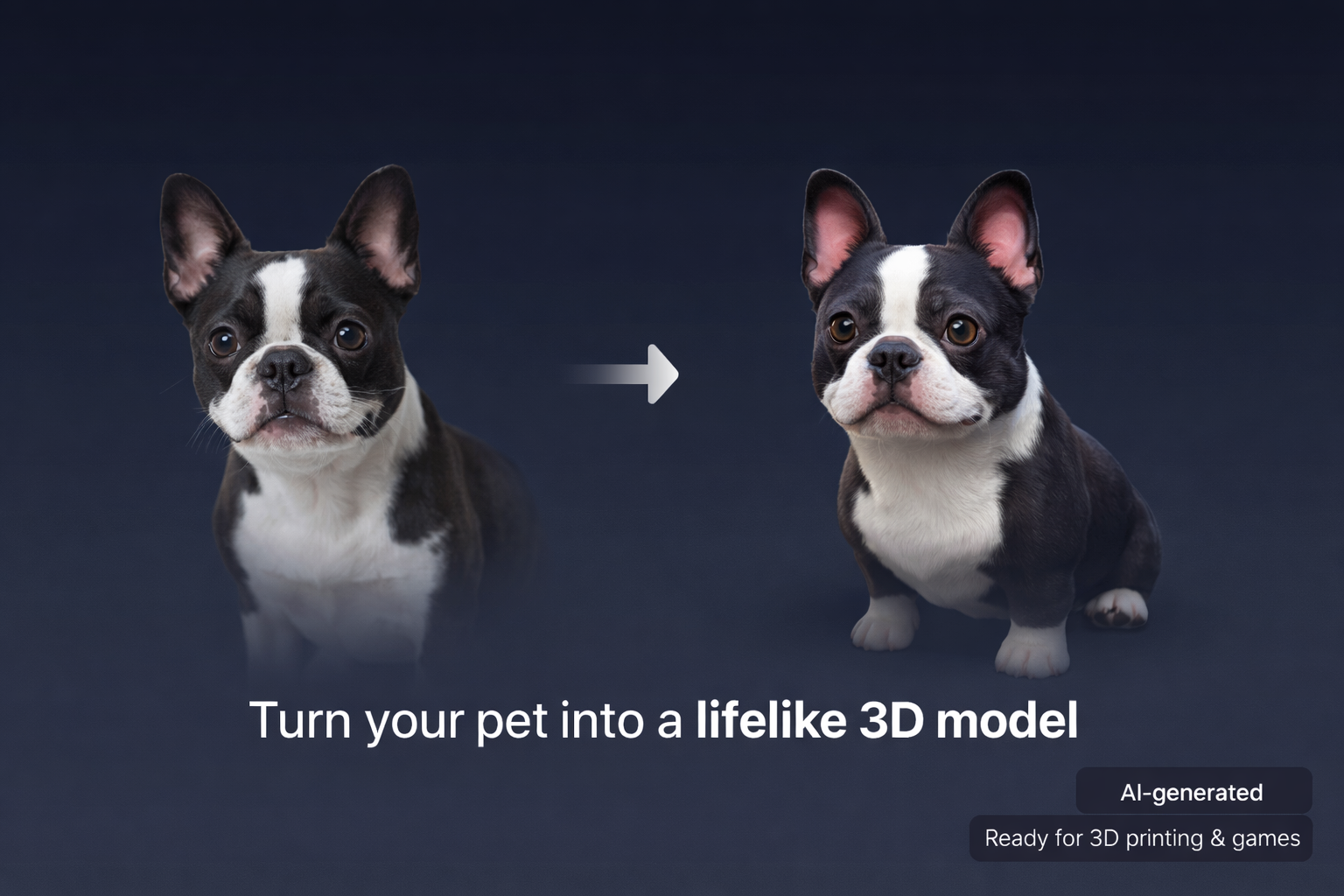 Mypet3D - Main product screenshot demonstrating key features and user interface