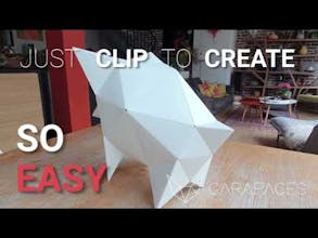 CARAPACES: First DIY Origami 3D Puzzle gallery image