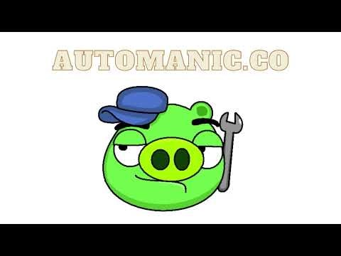 Automanic gallery image