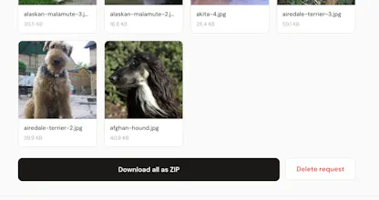 GetFiles gallery image