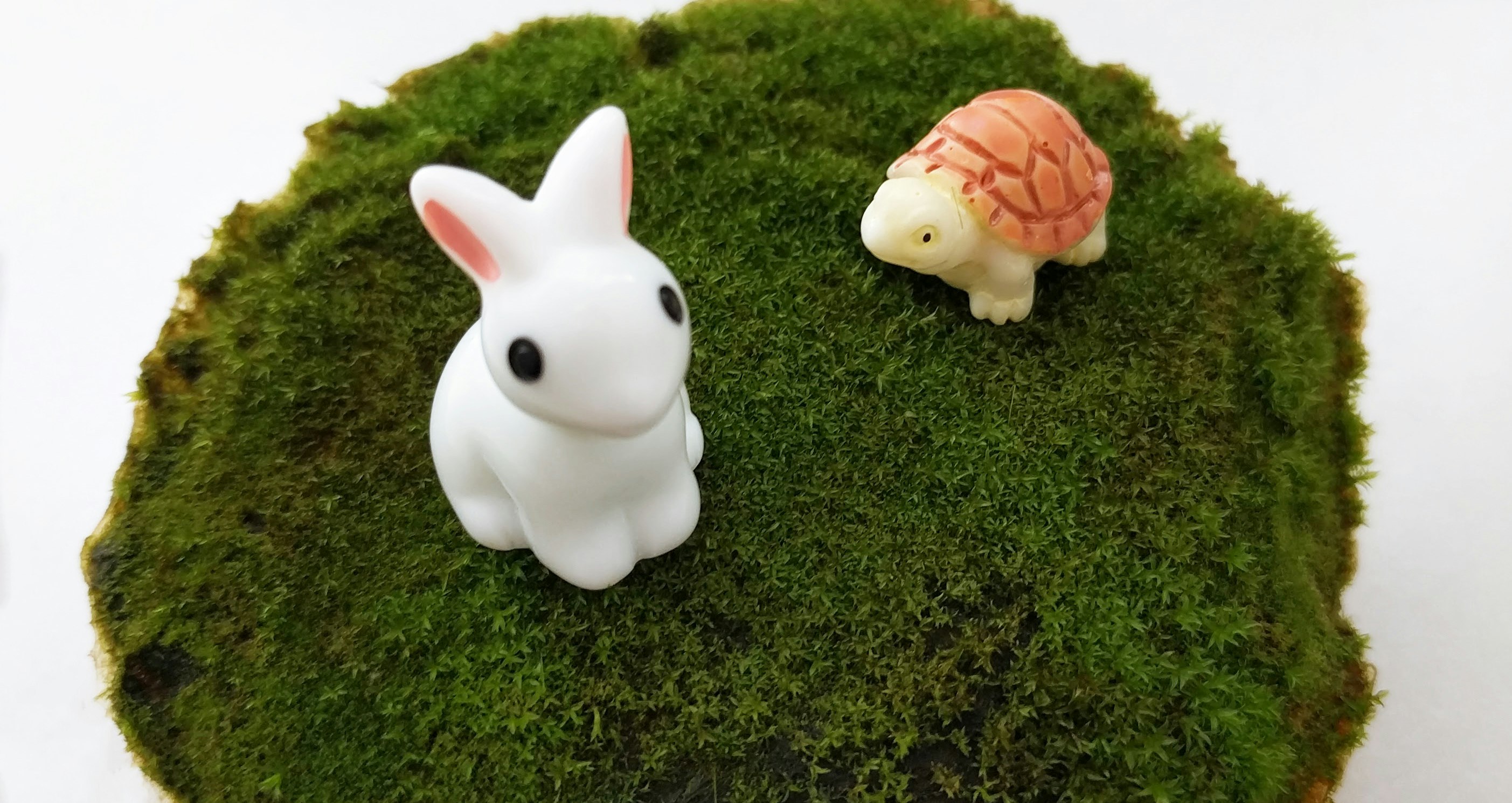 Orbella Fragrant Moss gallery image