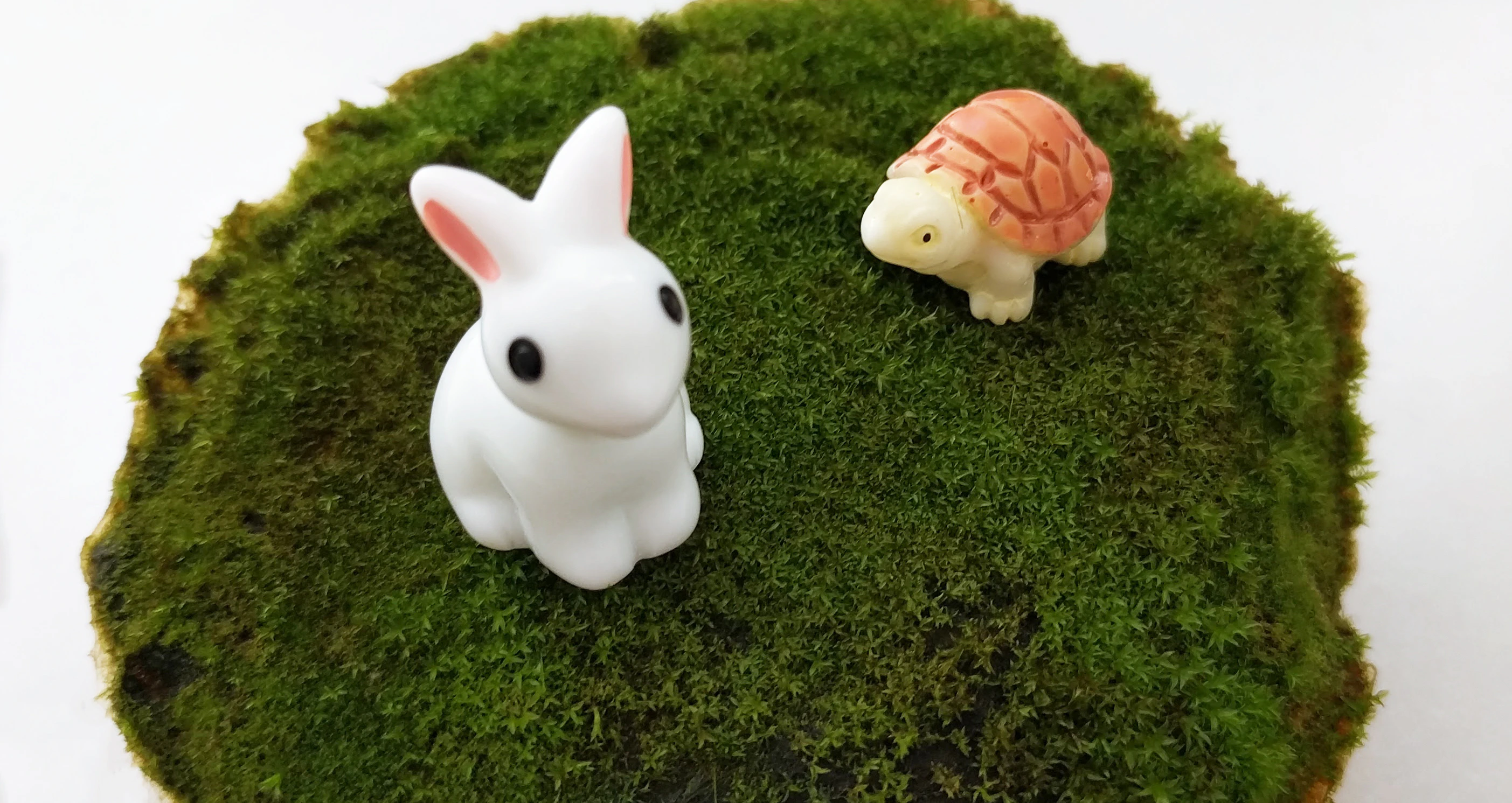 Orbella Fragrant Moss Image