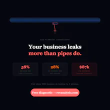 RevAnalysis Business Revenue Diagnostic gallery image