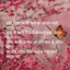 Hindi Shayari 10000+