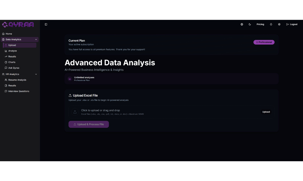 QYRAA.ai Understand Your Data Instantly  - Screenshot 2 showing product features and functionality