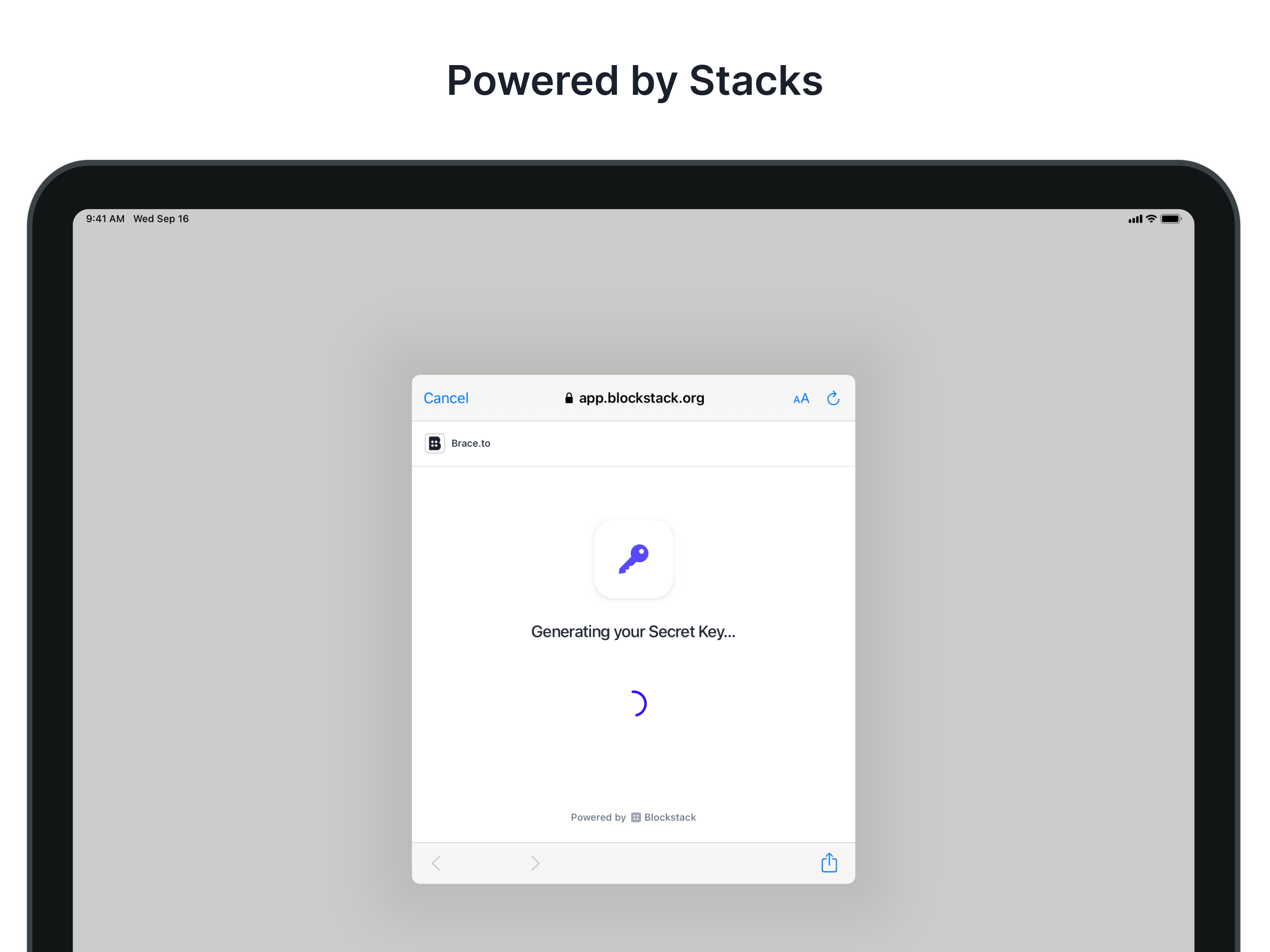 Brace.to gallery image