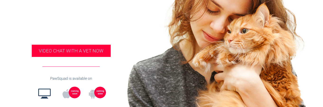 PawSquad gallery image