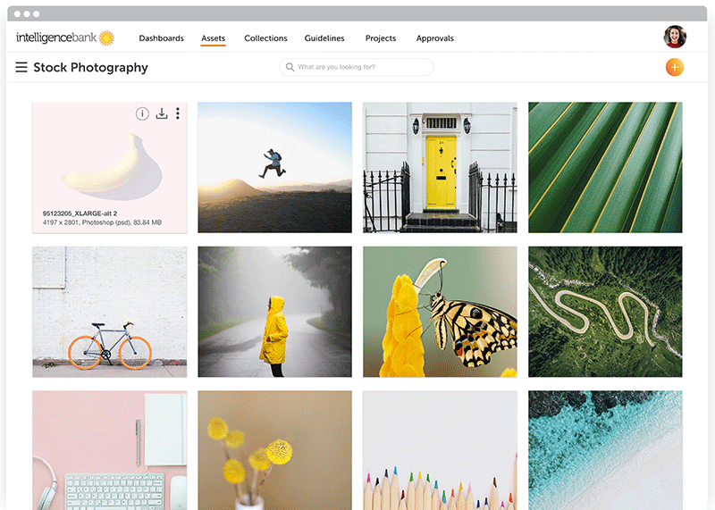 IntelligenceBank gallery image